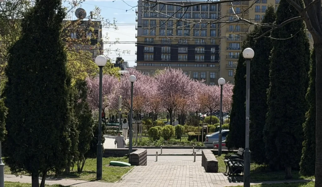 Вид зі скверу на Щекавицькій на сквер біля кінотеатру Жовтень